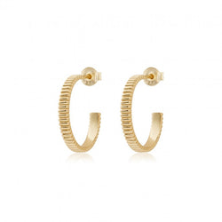 Thin Vermeil scalloped hoops